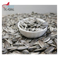 Daily Snacks Sunflower Seeds Dry Type Seeds